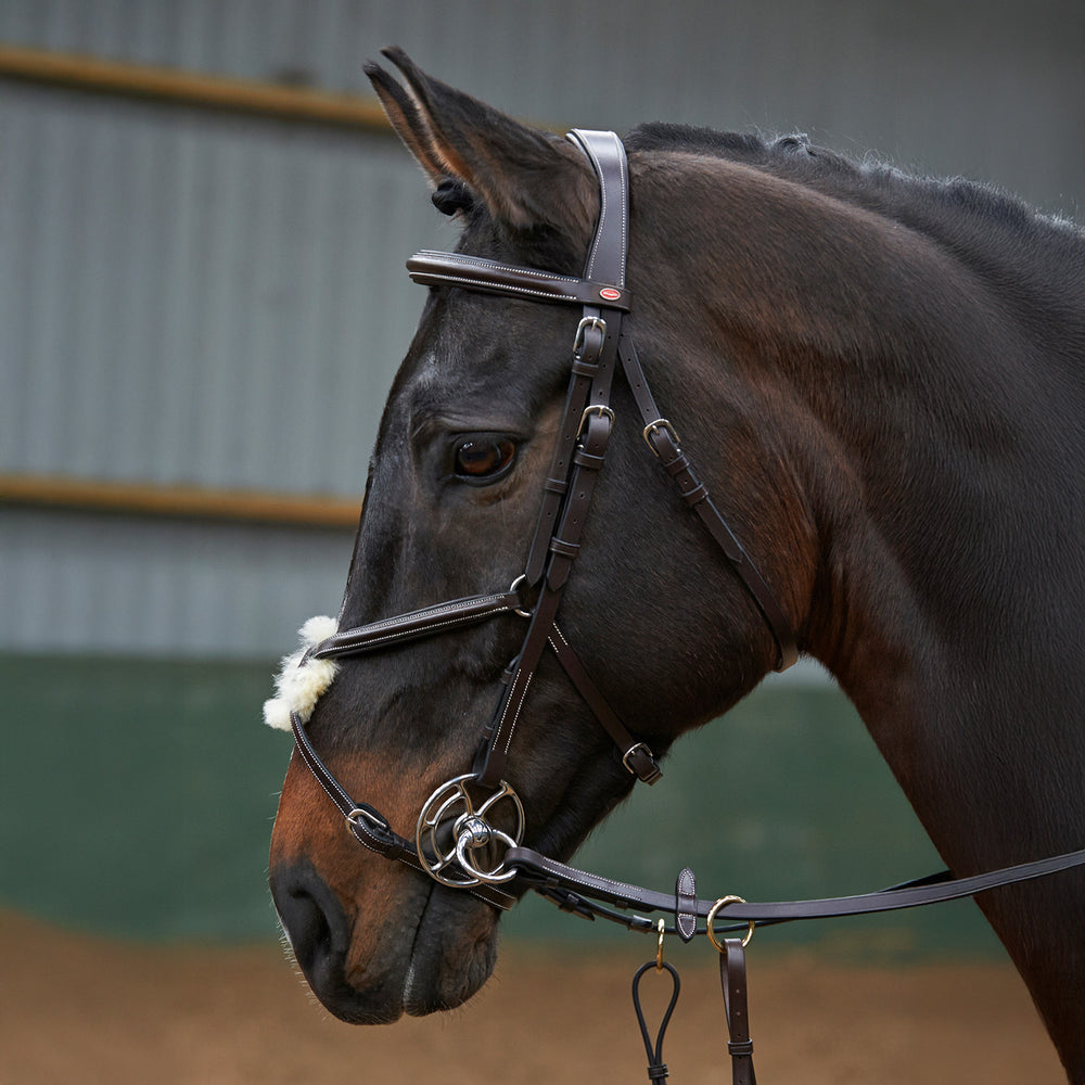 Whitaker BR050A Eastwood Mexican Bridle with Reins