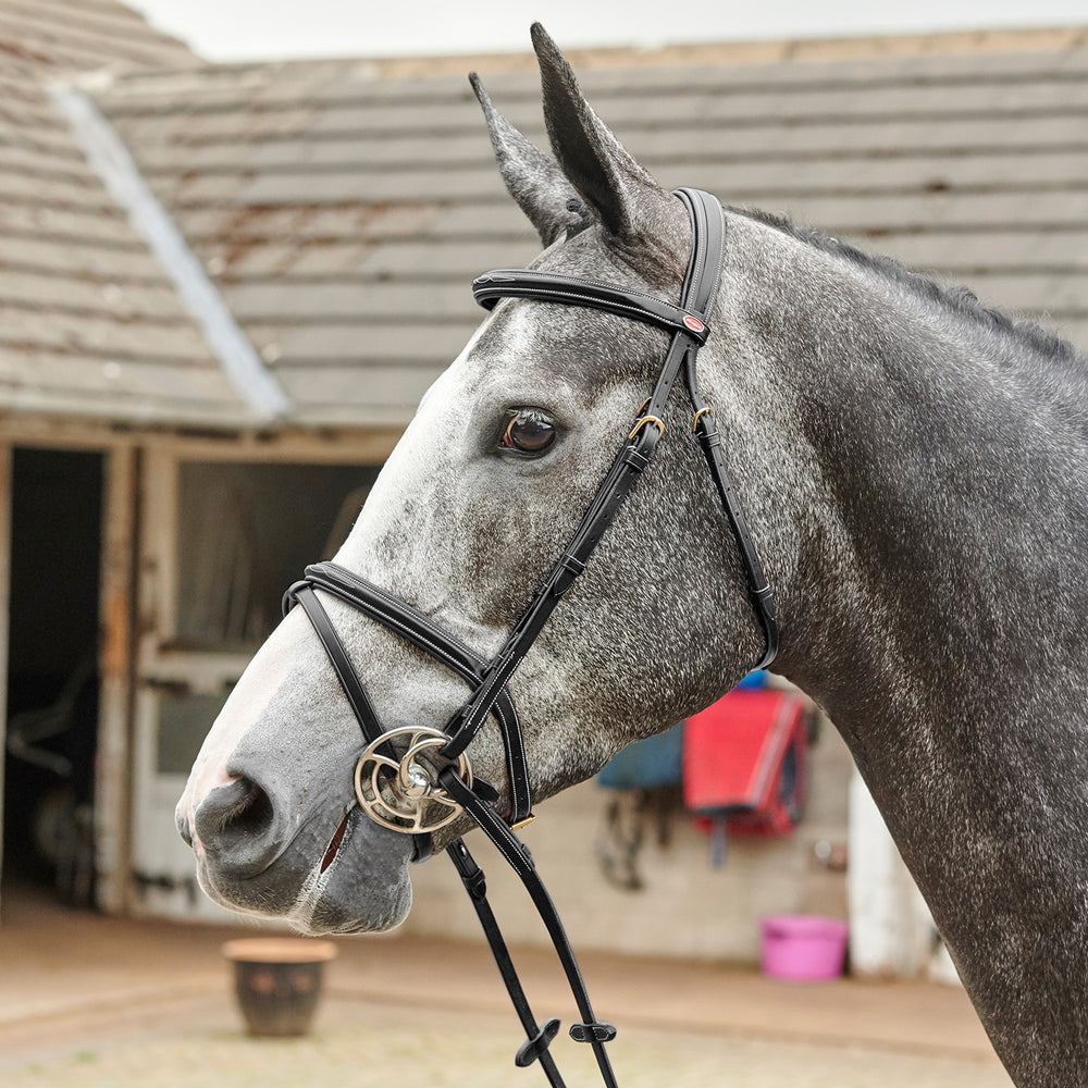 Whitaker BR053 Valencia Super Deluxe Flash Bridle with Reins