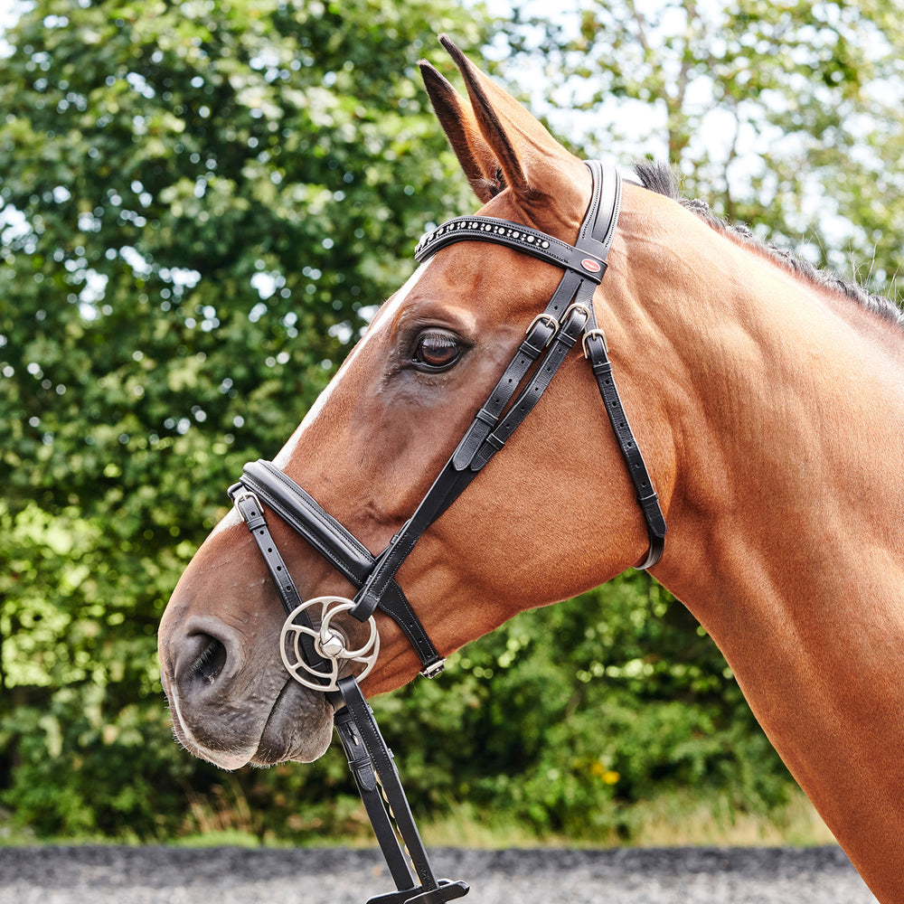 Whitaker BR073 Lynton Flash Bridle with 2 Browbands