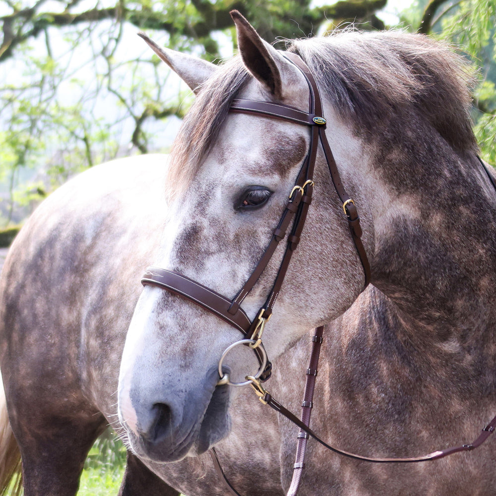 Whitaker BR104 Madrid Snaffle Bridle