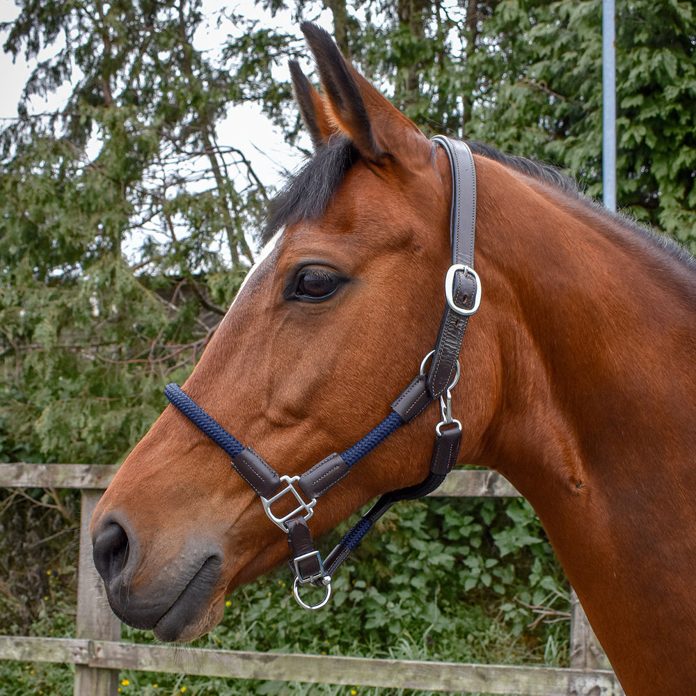 Whitaker HC065 Raywell Soft Rope Headcollar