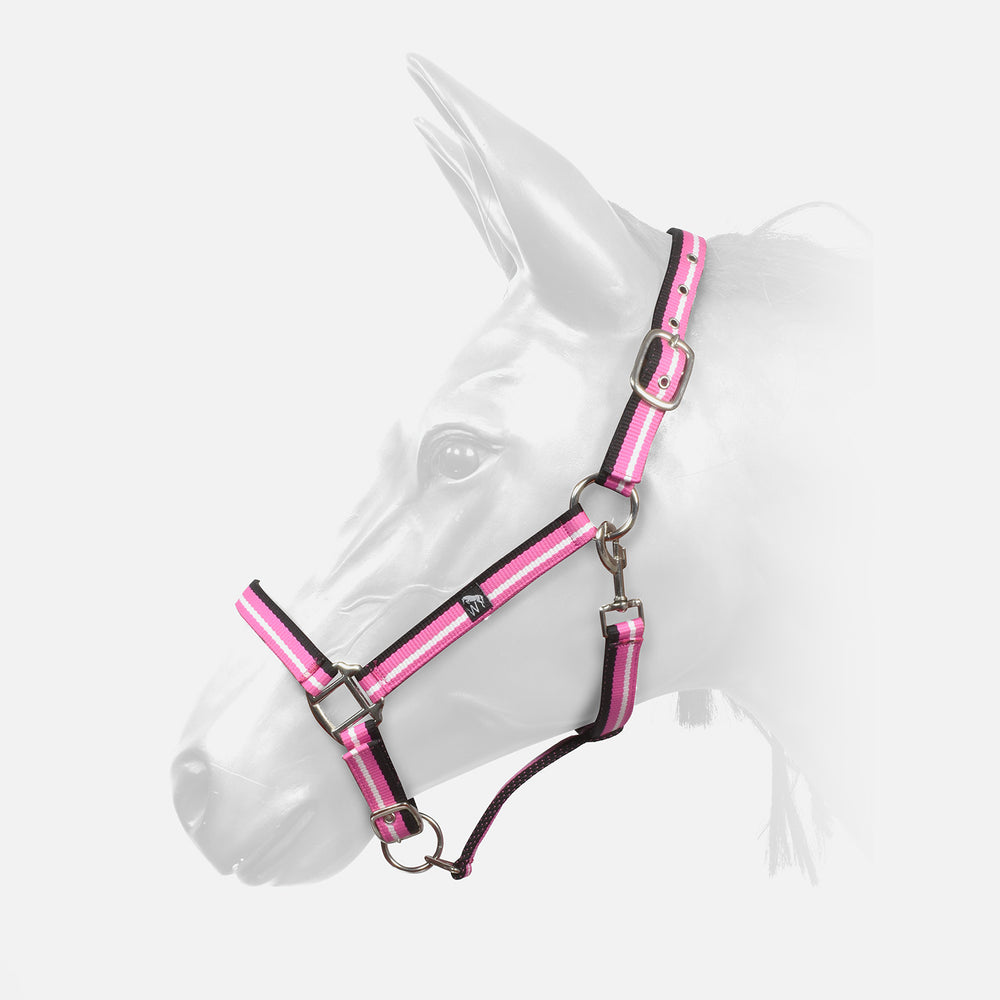 HCW01 W-Horse Harvey Headcollar