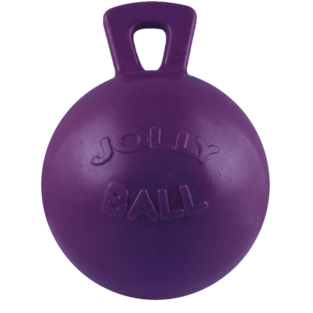 Horsemen'S Pride Jolly Ball Purple