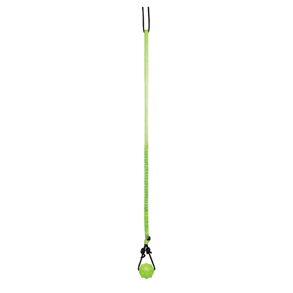 Jolly Pets Tree Tugger