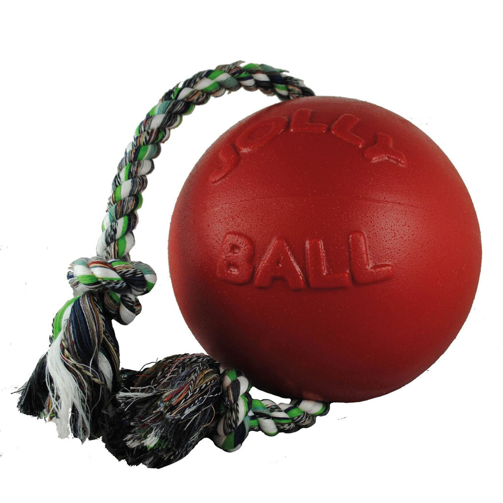 Jolly Pets Romp-N-Roll Jolly Ball
