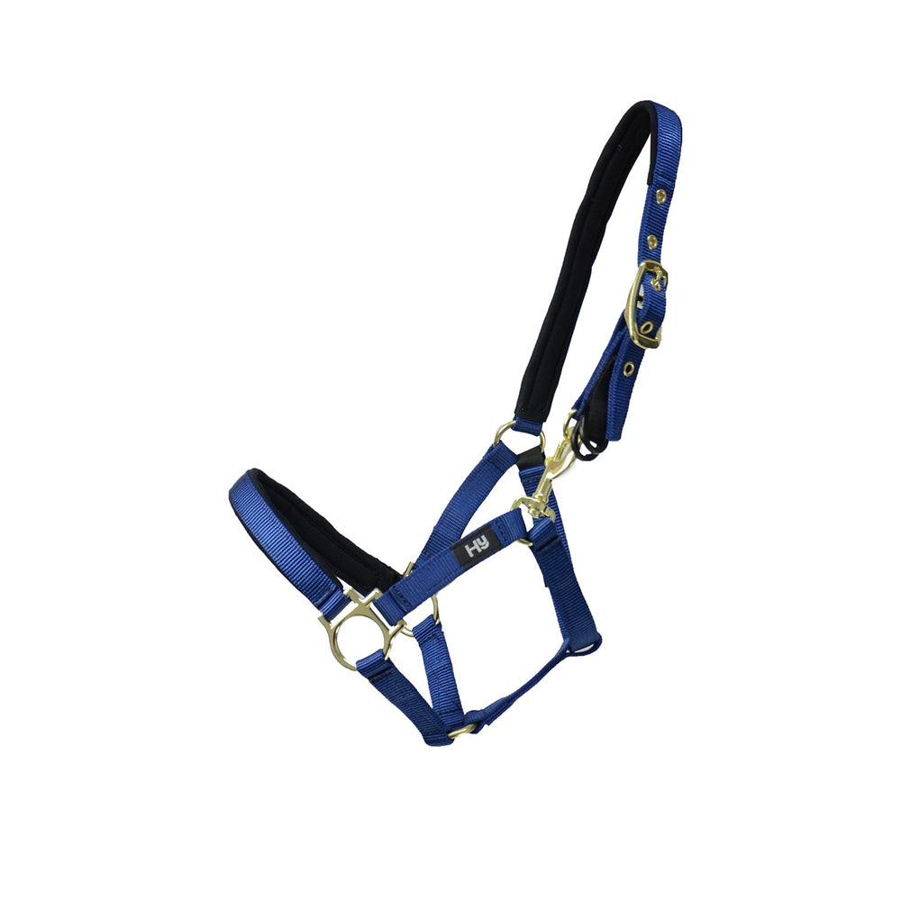 Hy Equestrian Foal Headcollar