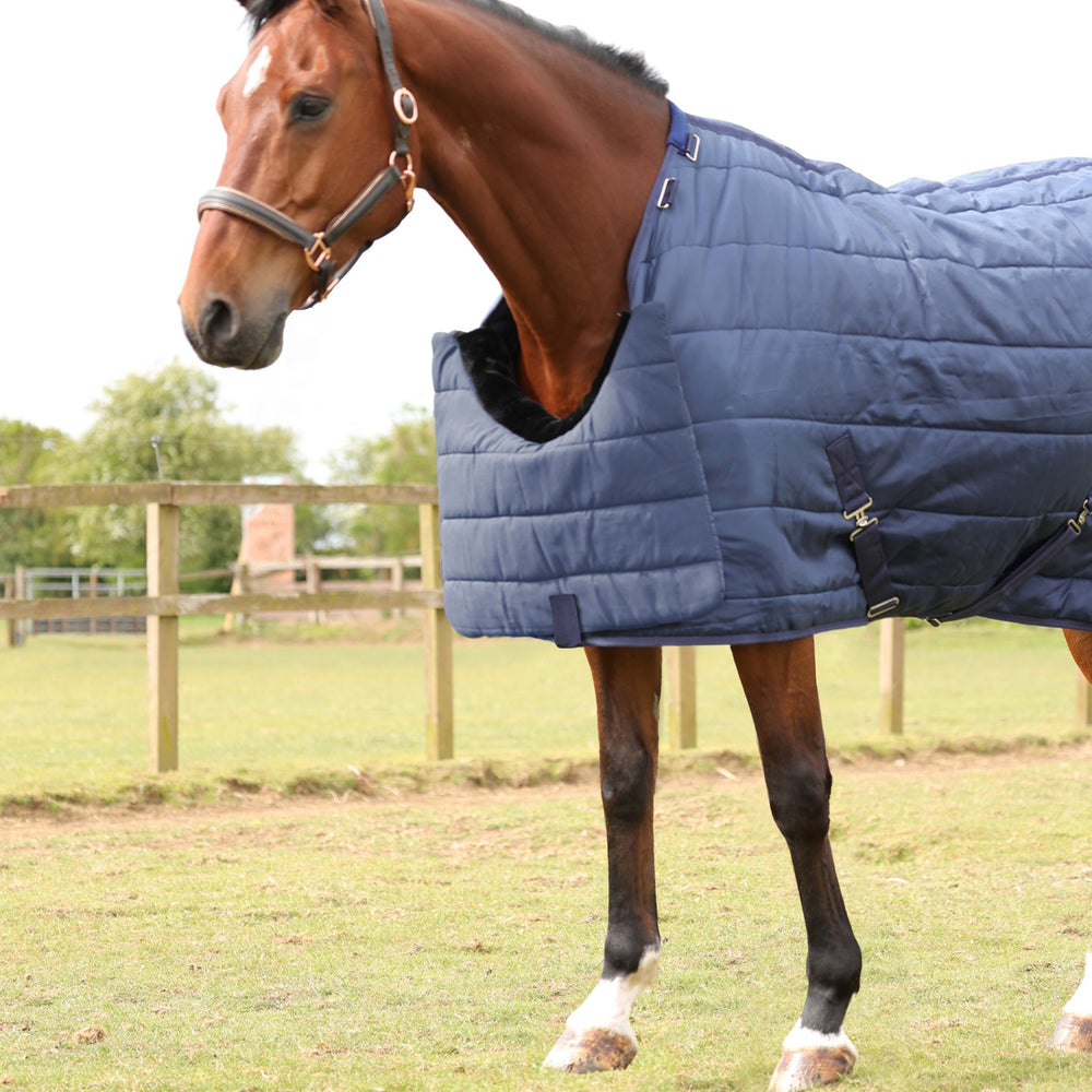 Hy Equestrian Chest Protector Navy
