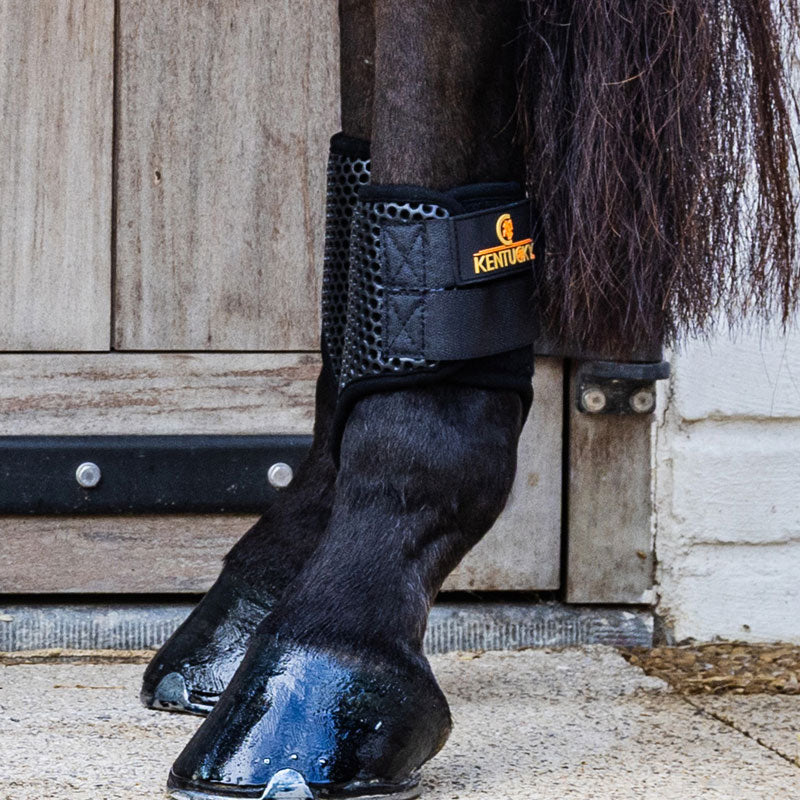Kentucky Horsewear Brushing Boots ProAir Short/hind