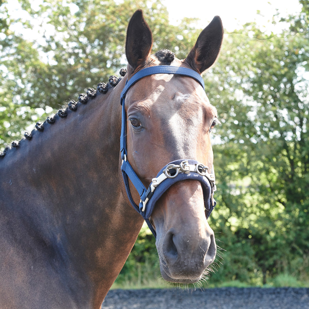 Whitaker LCAV Lunge Cavesson