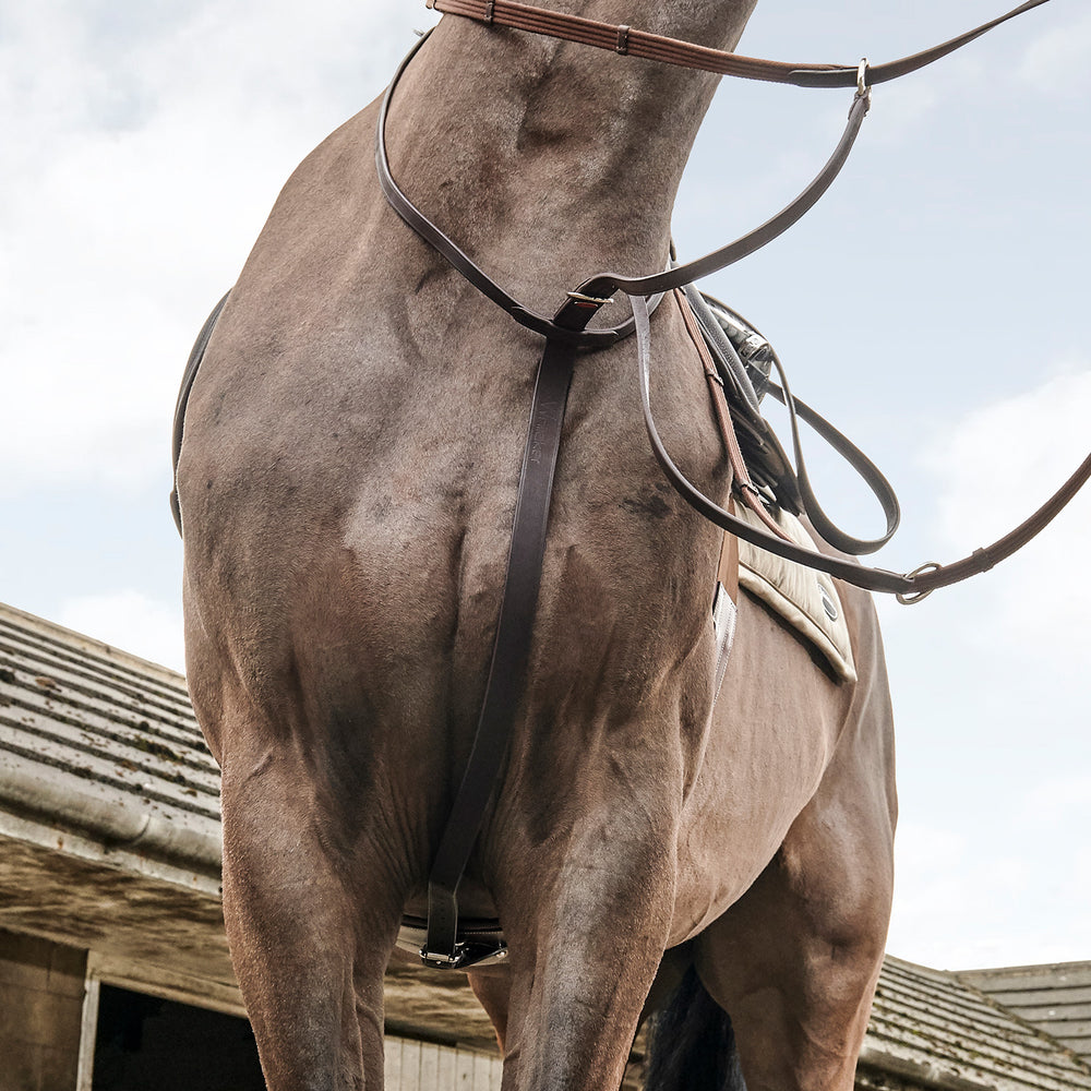 Whitaker MA054 Ready to Ride Martingale