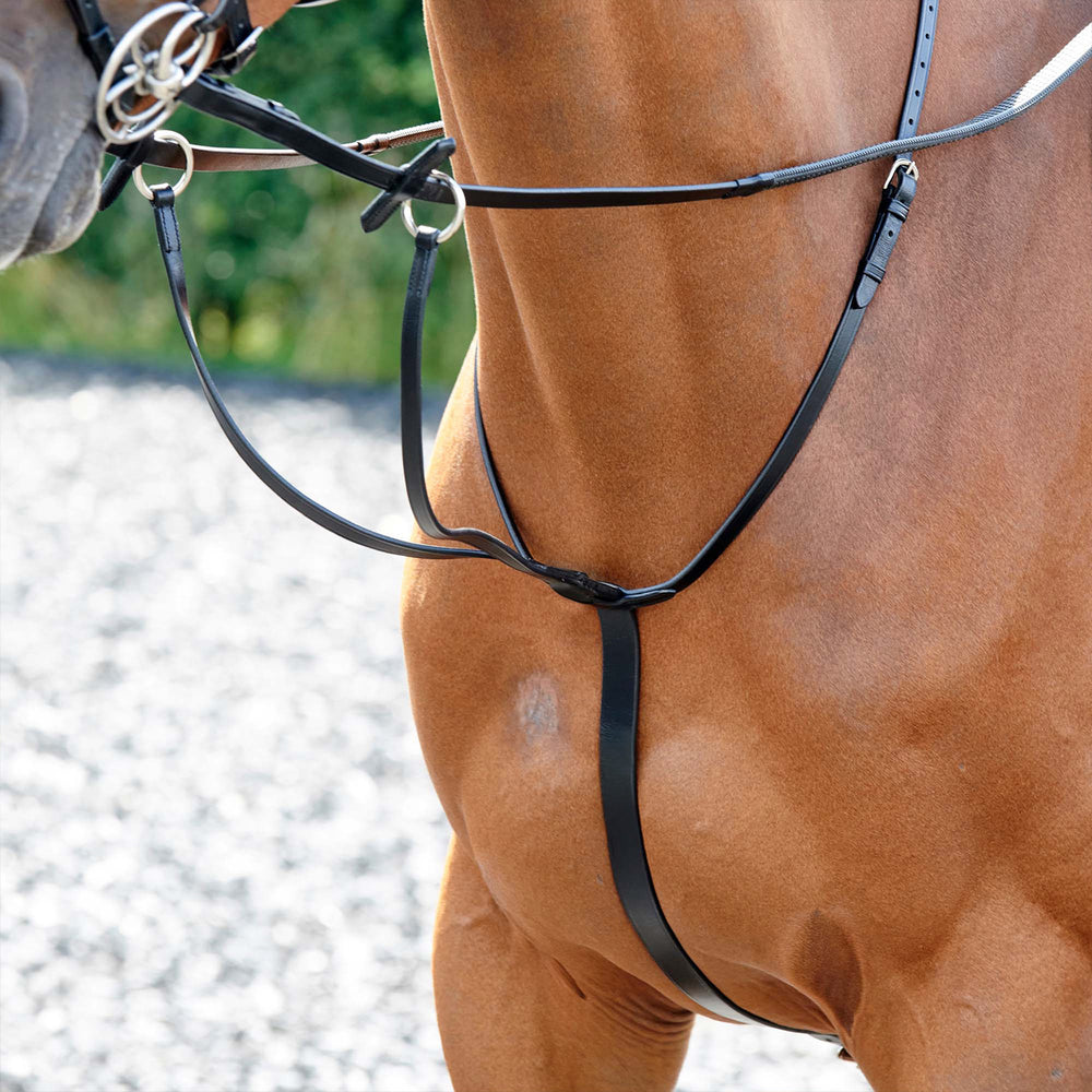 Whitaker MA077 Barton Martingale