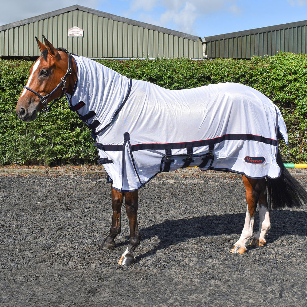 Whitaker R202 Rastrick Fly Mesh with Fixed Hood