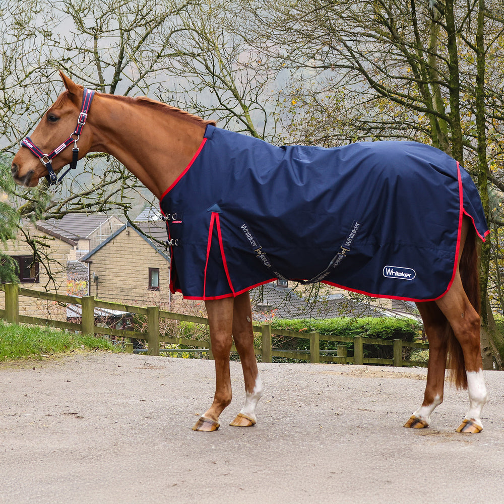 Whitaker R440 Rastrick V2 0g Turnout Rug
