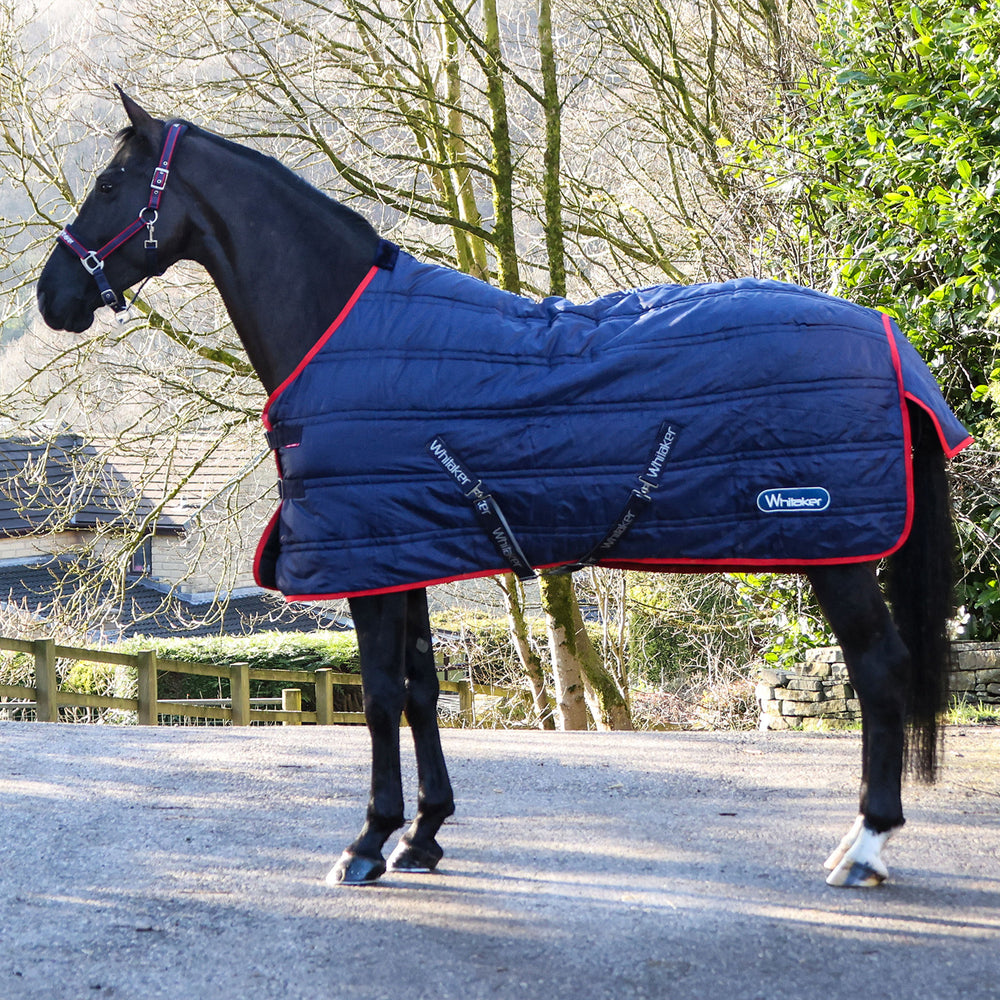Whitaker R451 Rastrick V2 200g Standard Stable Rug