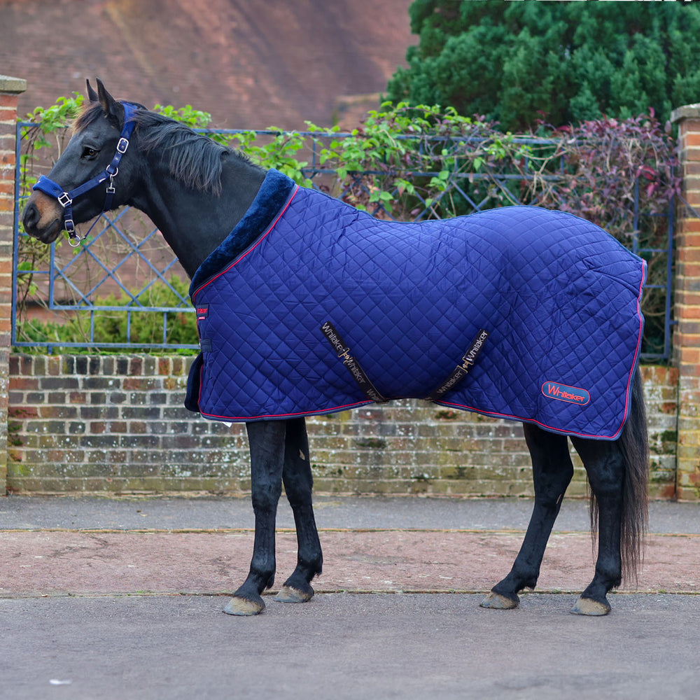 Whitaker R472 Rastrick V2 100g Cosy Rug