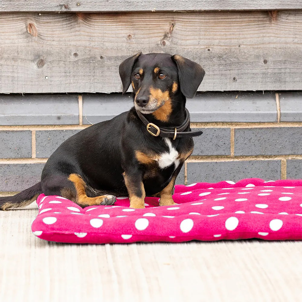 Supreme Products Dotty Fleece Dog Bed Paradise Pink