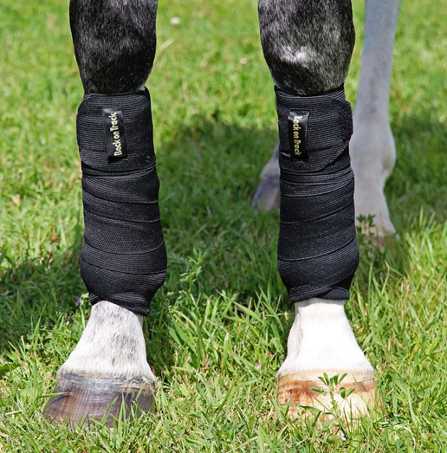 Back on Track® Equine Combi Bandages