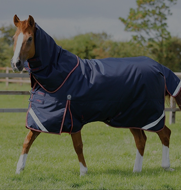 Horse Rugs