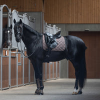 Kingsland Lexie Dressage Saddle Pad
