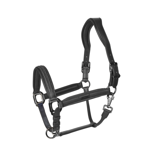 Kingsland Neville Leather Halter