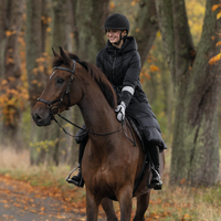 Kingsland Maurice Riding Mittens