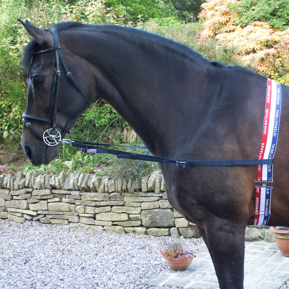 Whitaker ASR Elasticated Side Reins