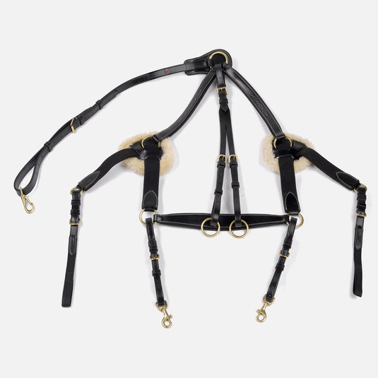 Whitaker BP052 Valencia 5 Point Breastplate