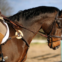 Whitaker BP052 Valencia 5 Point Breastplate