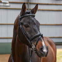Whitaker BR051A Eastwood Raised Flash Bridle with Reins