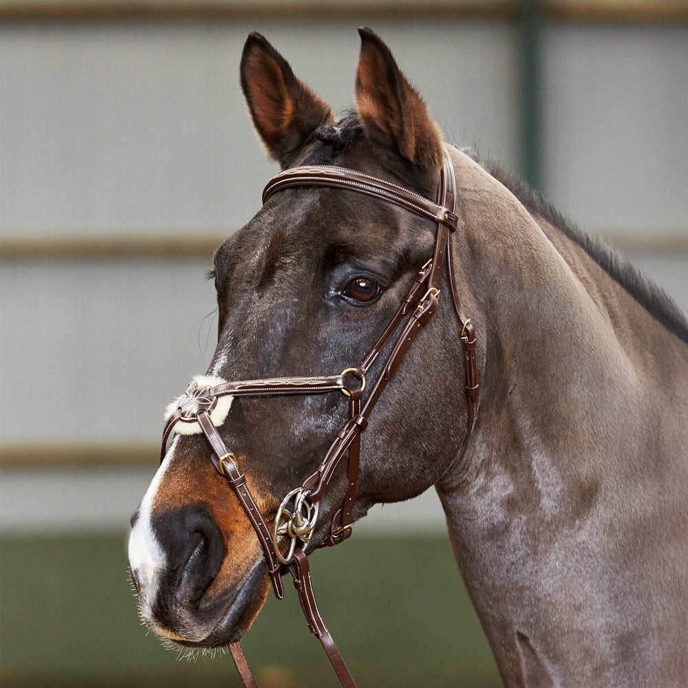 Whitaker BR052 Valencia Super Deluxe Mexican Bridle with Reins