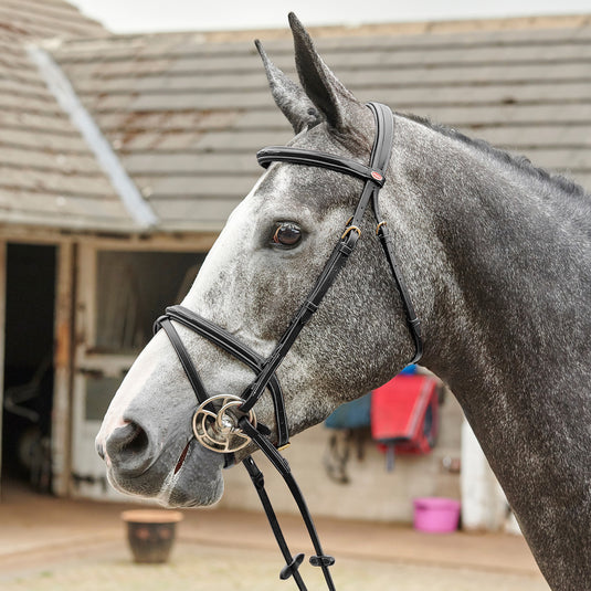 Whitaker BR053 Valencia Super Deluxe Flash Bridle with Reins