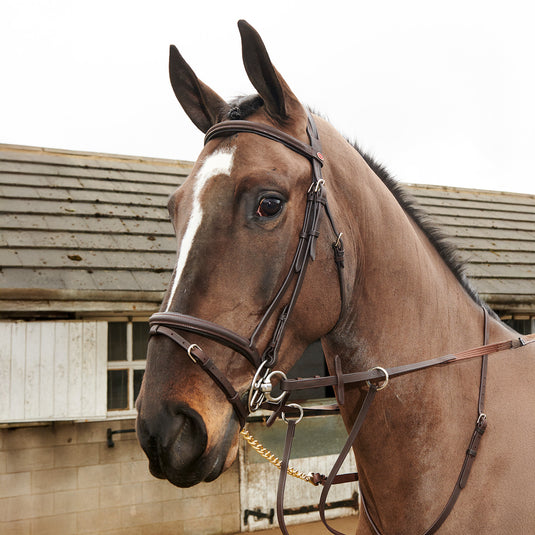 Whitaker BR054 Ready to Ride Leather Flash Bridle
