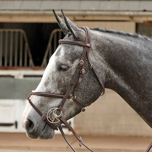 Whitaker BR055 Ready to Ride Mexican Bridle