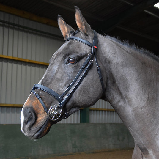 Whitaker BR056 Ready to Ride Snaffle Bridle