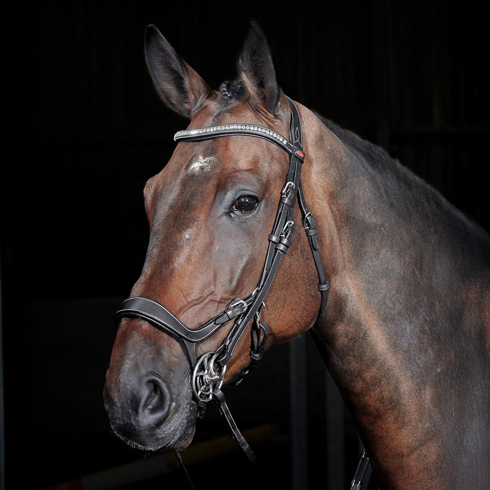 Whitaker BR070 Chicago Anatomic Breathable Bridle with Reins