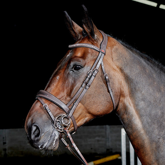 Whitaker BR071 Chicago Bling Bridle