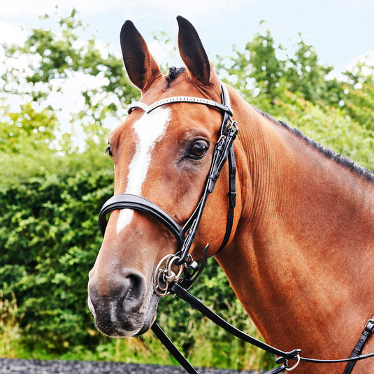Whitaker BR072 Lynton Snaffle Bridle with 2 Browbands