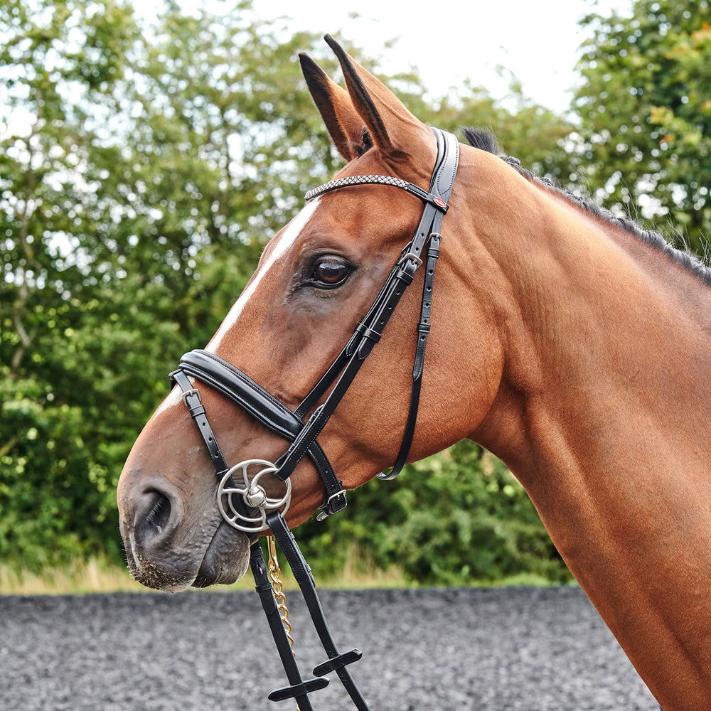 Whitaker BR078 Barton Bling Flash Bridle