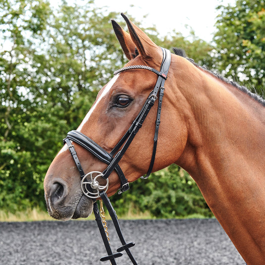 Whitaker BR078 Barton Bling Flash Bridle