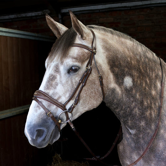 Whitaker BR100 Venice Bridle with Reins