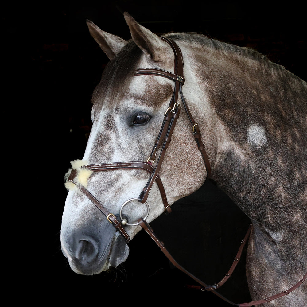 Whitaker BR101 Vienna Bridle with Reins