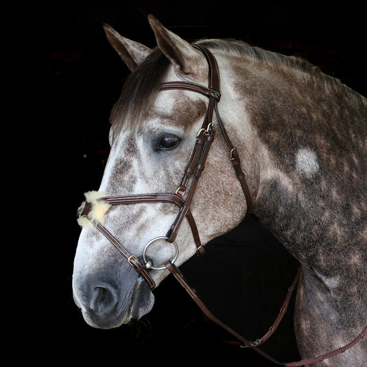 Whitaker BR101 Vienna Bridle with Reins