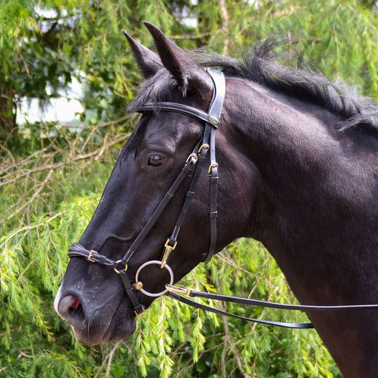 Whitaker BR102 Rome Bridle with Reins