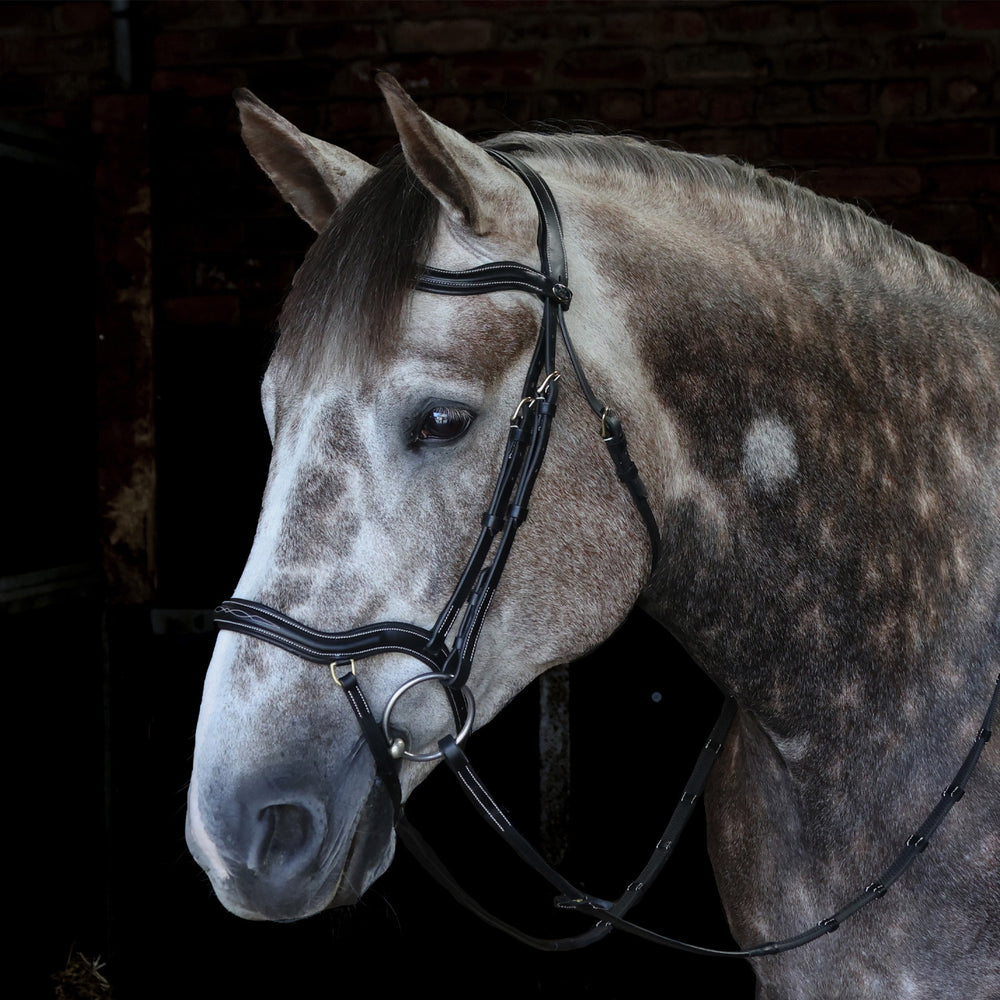 Whitaker BR103 Stockholm Anatomic Bridle