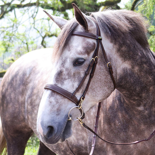 Whitaker BR104 Madrid Snaffle Bridle