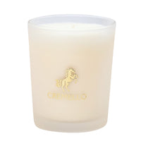Cremello Coastal Cypress & Amber Candle