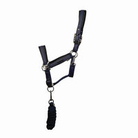 Coldstream Paxton Padded Headcollar & Lead Rope Navy
