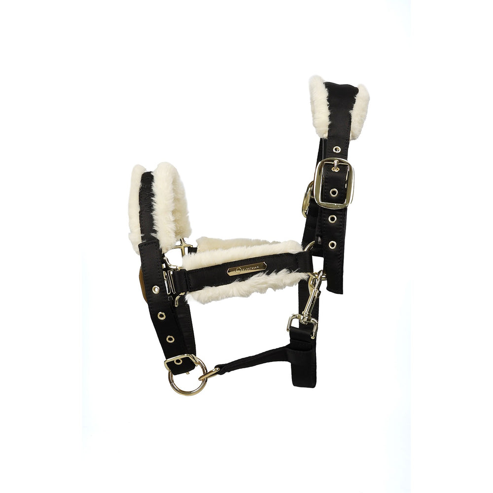 Coldstream Langlee Luxury Headcollar & Lead Rope Black