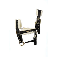 Coldstream Langlee Luxury Headcollar & Lead Rope Black