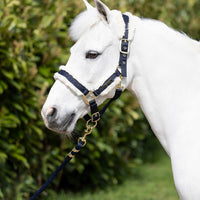 Coldstream Langlee Luxury Headcollar & Lead Rope Navy